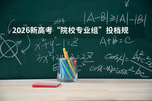 2026新高考“院校专业组”投档规则与退档风险