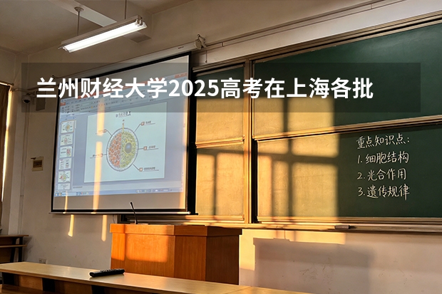 兰州财经大学2025高考在上海各批次选科要求如何