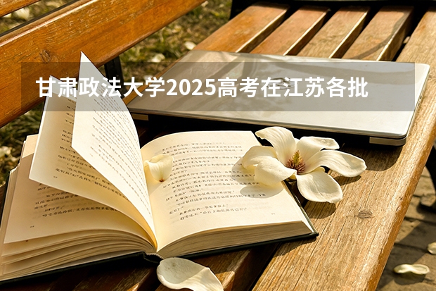 甘肃政法大学2025高考在江苏各批次选科要求如何