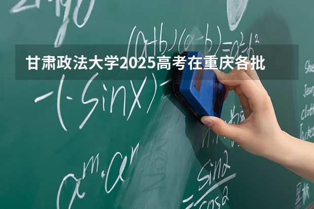 甘肃政法大学2025高考在重庆各批次选科要求如何