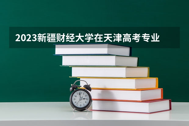 2023新疆财经大学在天津高考专业招生计划人数