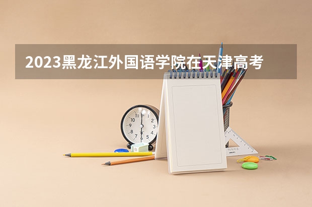 2023黑龙江外国语学院在天津高考专业招生计划人数
