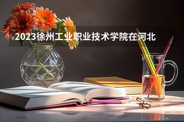 2023徐州工业职业技术学院在河北高考专业招生计划人数