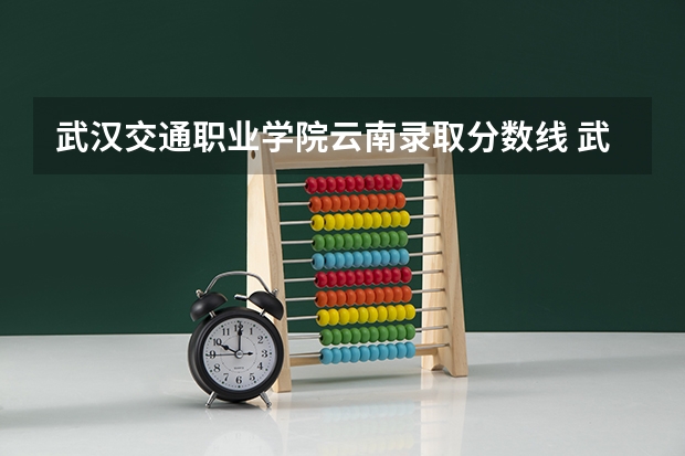 武汉交通职业学院云南录取分数线 武汉交通职业学院云南招生人数多少