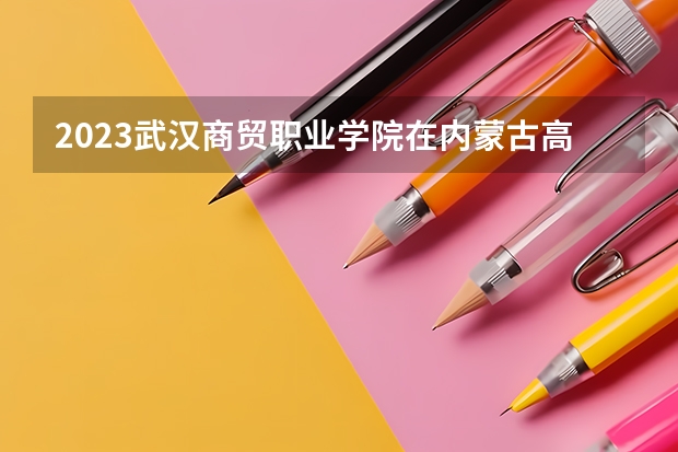 2023武汉商贸职业学院在内蒙古高考专业招生计划人数