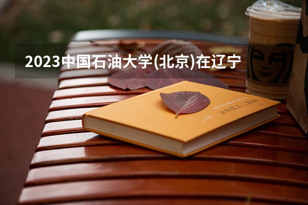 2023中国石油大学(北京)在辽宁高考专业招生计划人数