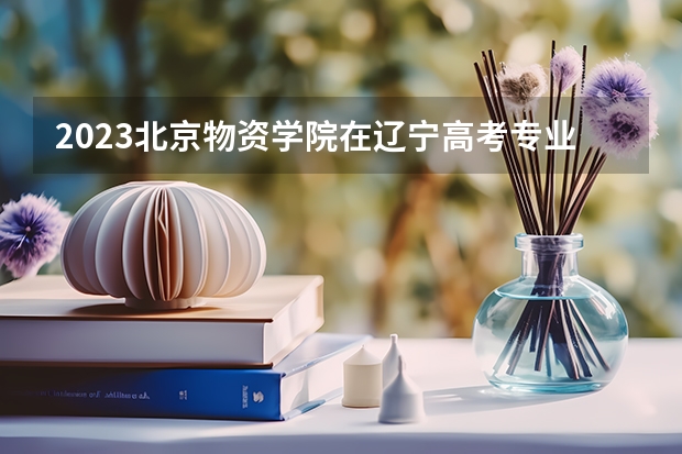 2023北京物资学院在辽宁高考专业招生计划人数