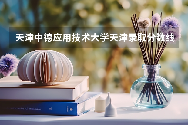 天津中德应用技术大学天津录取分数线 天津中德应用技术大学天津招生人数多少